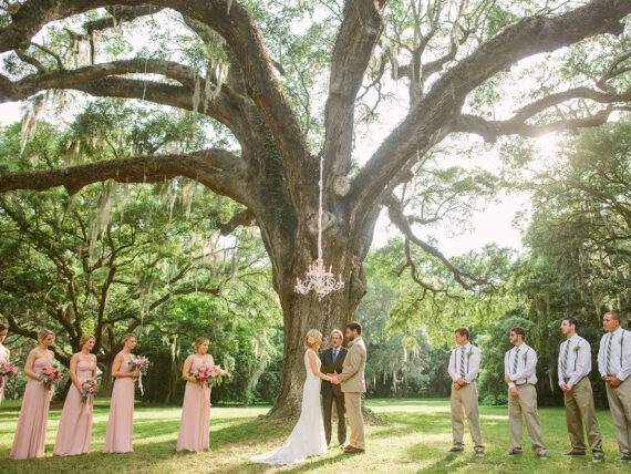 A wedding ceremony under a giant oak tree
