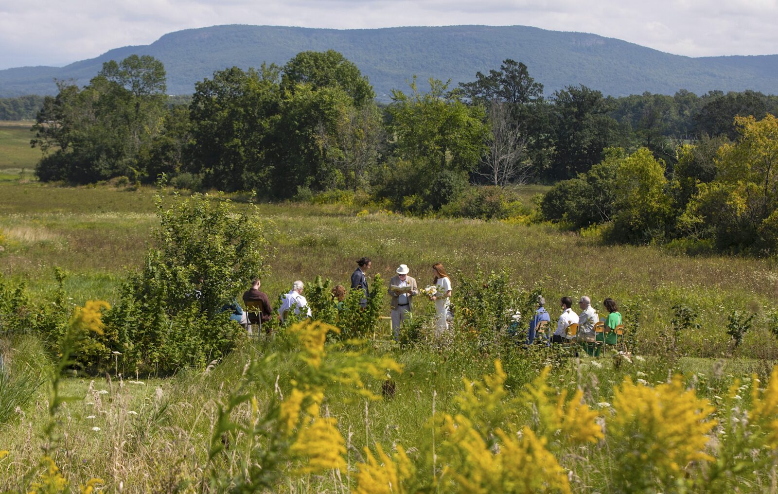 A wedding in a meadow surrounded by mountains