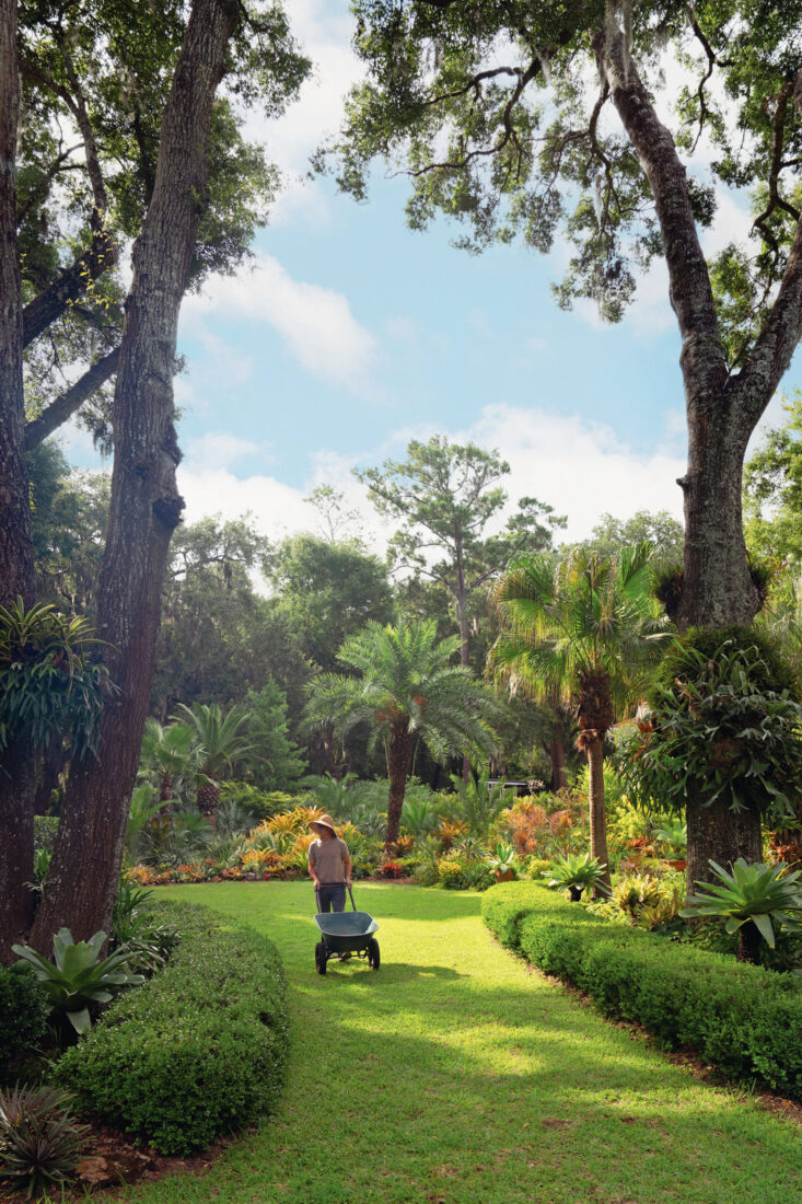 A gardener walks through a garden with a wheelbarrow