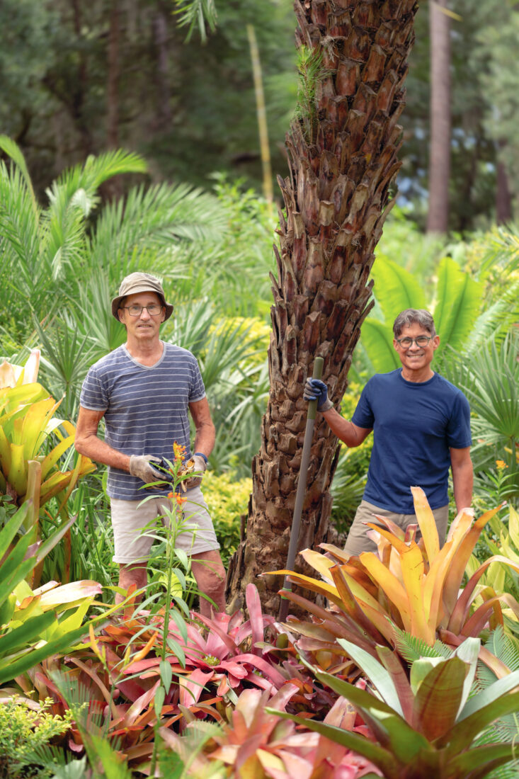 A pair of gardeners stand in a patch of colorful bromeliads