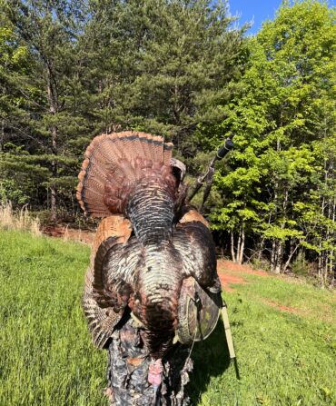 A person holds up a turkey with blonde-tinged feathers