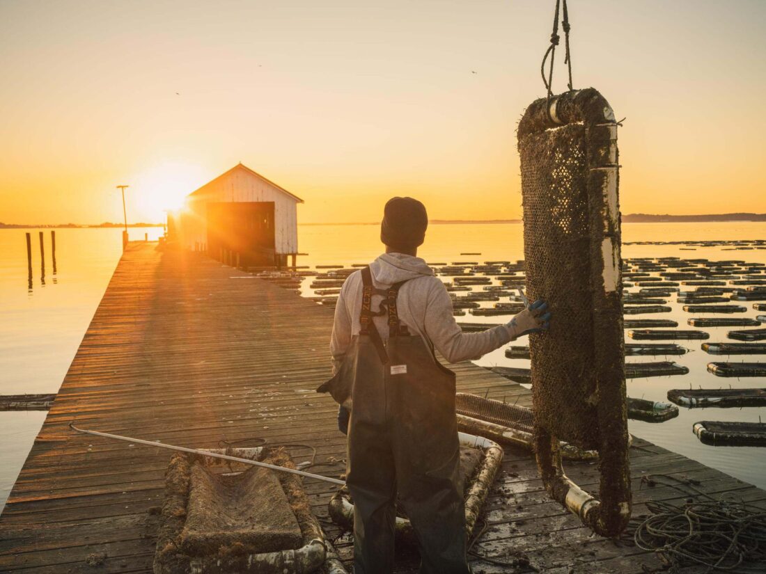 An oyster farmer watches a sunset on a dock