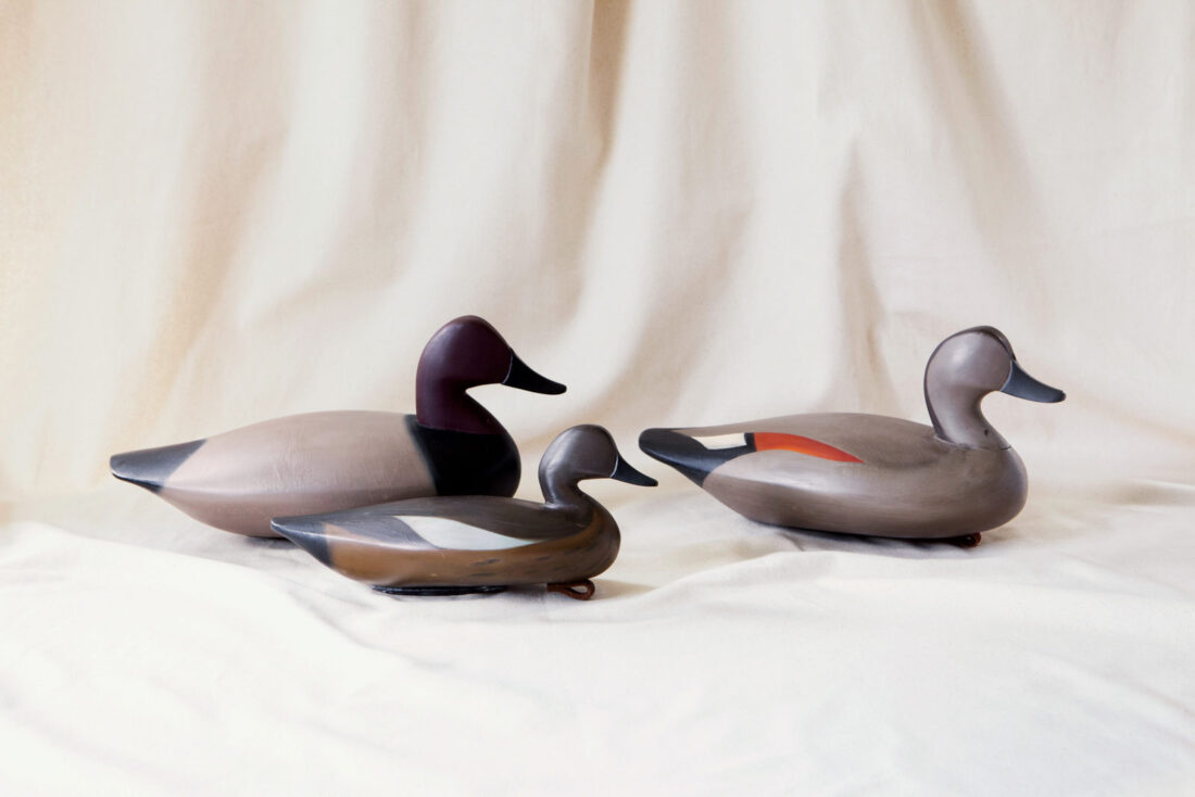 Duck decoys