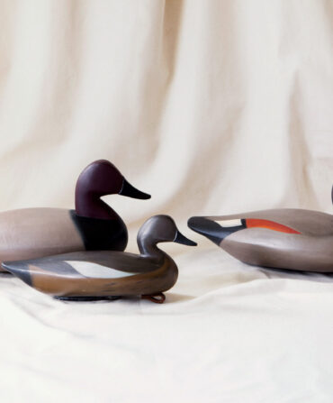 Duck decoys