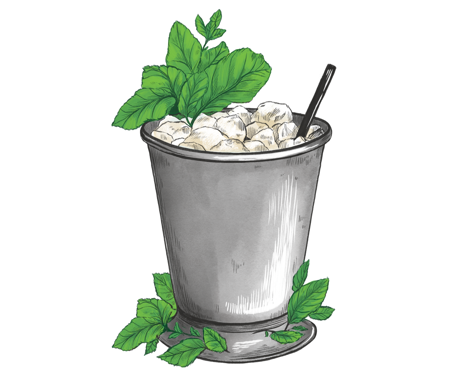 Mint Julep